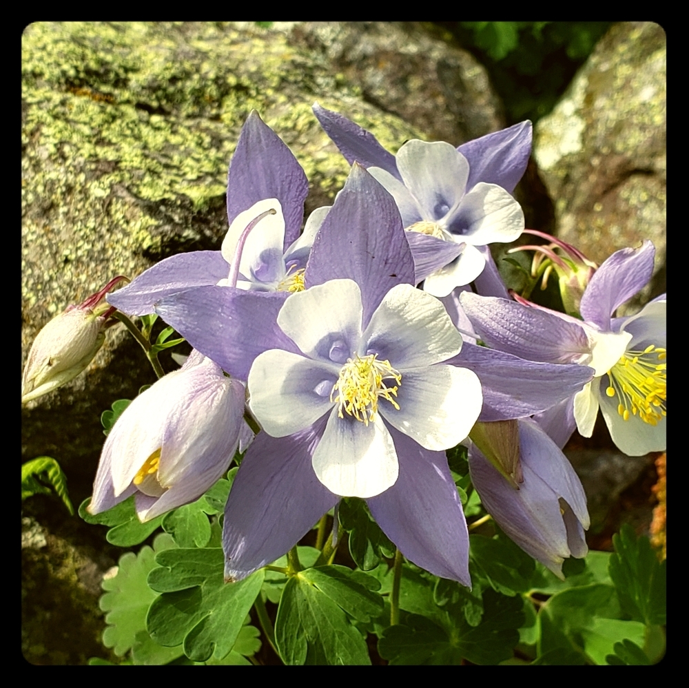 Meet your Posher, Ashlee